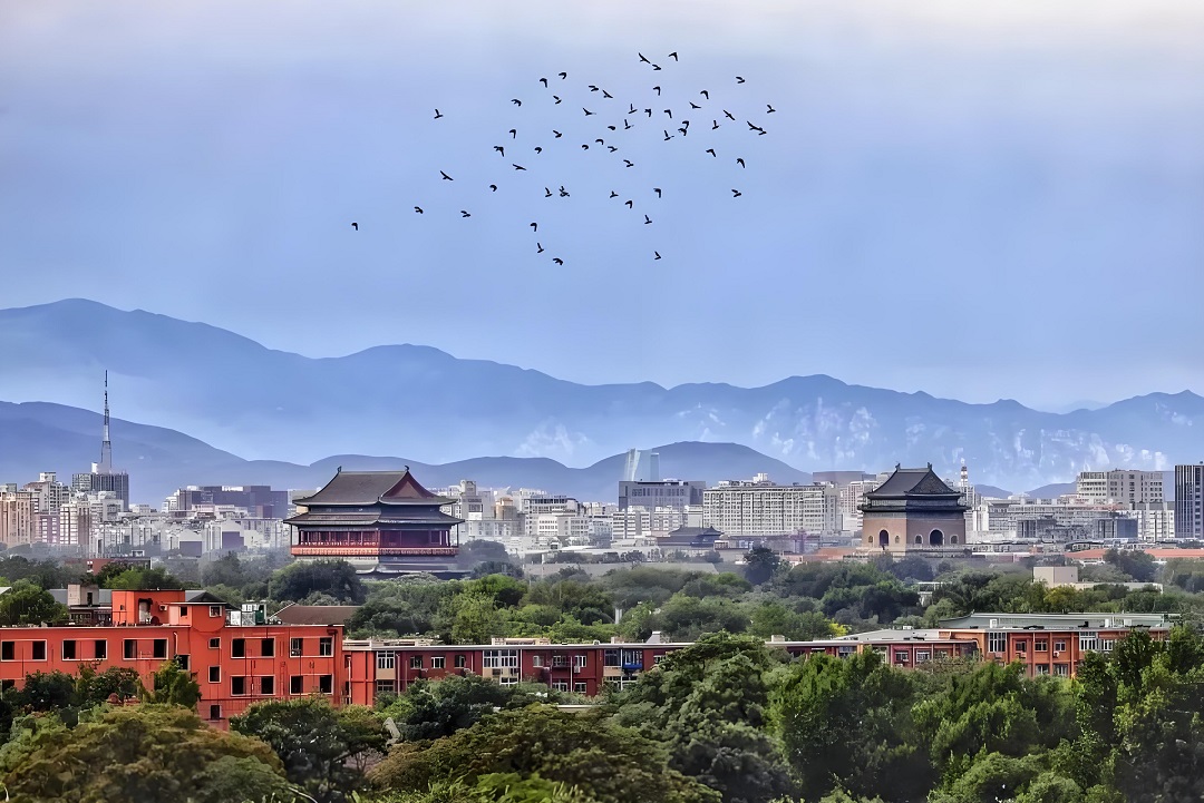 中環(huán)長青聯合體中標東城區(qū) “兩山”實踐創(chuàng)新基地建設服務項目